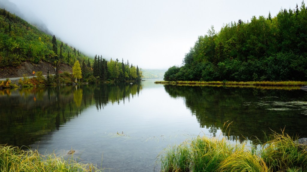 Psalm 46: Be Still and&nbsp;Know