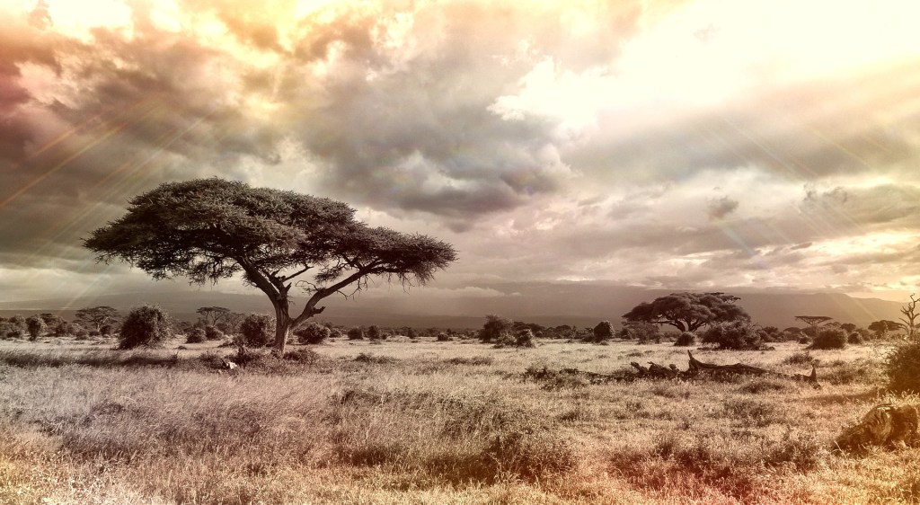 Psalm 78: They Tested God Again and Again