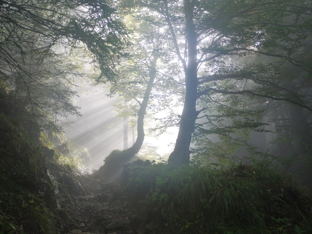 Psalm 73: How Can God Know?